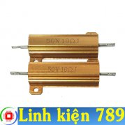 Trở nhôm 50W 10R 2 con